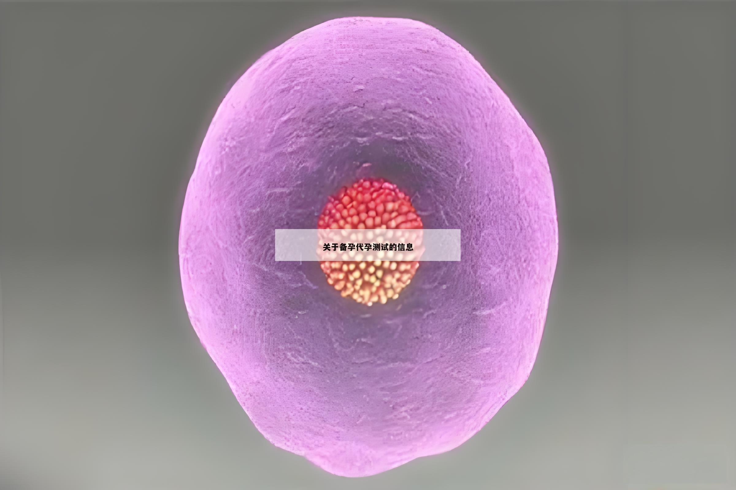 关于备孕代孕测试的信息