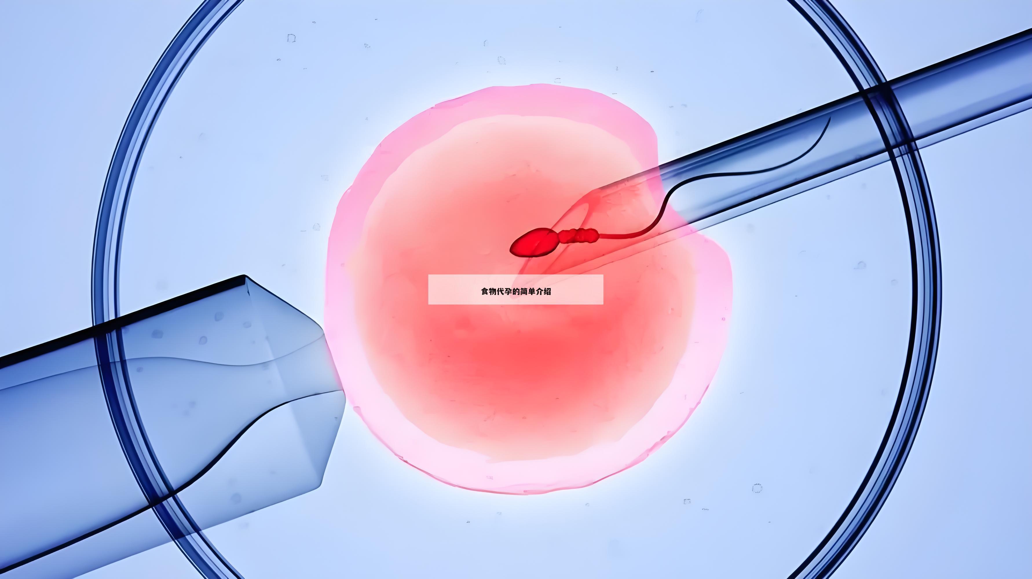 食物代孕的简单介绍