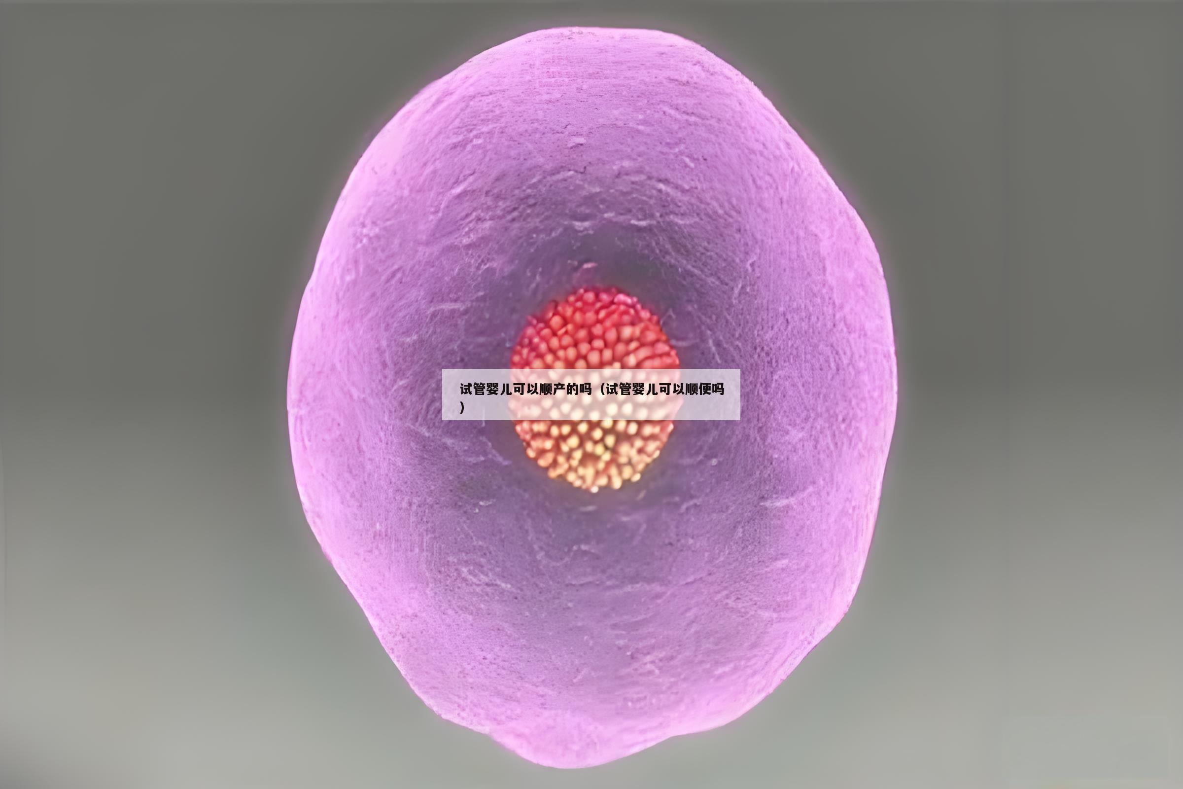 试管婴儿可以顺产的吗（试管婴儿可以顺便吗）