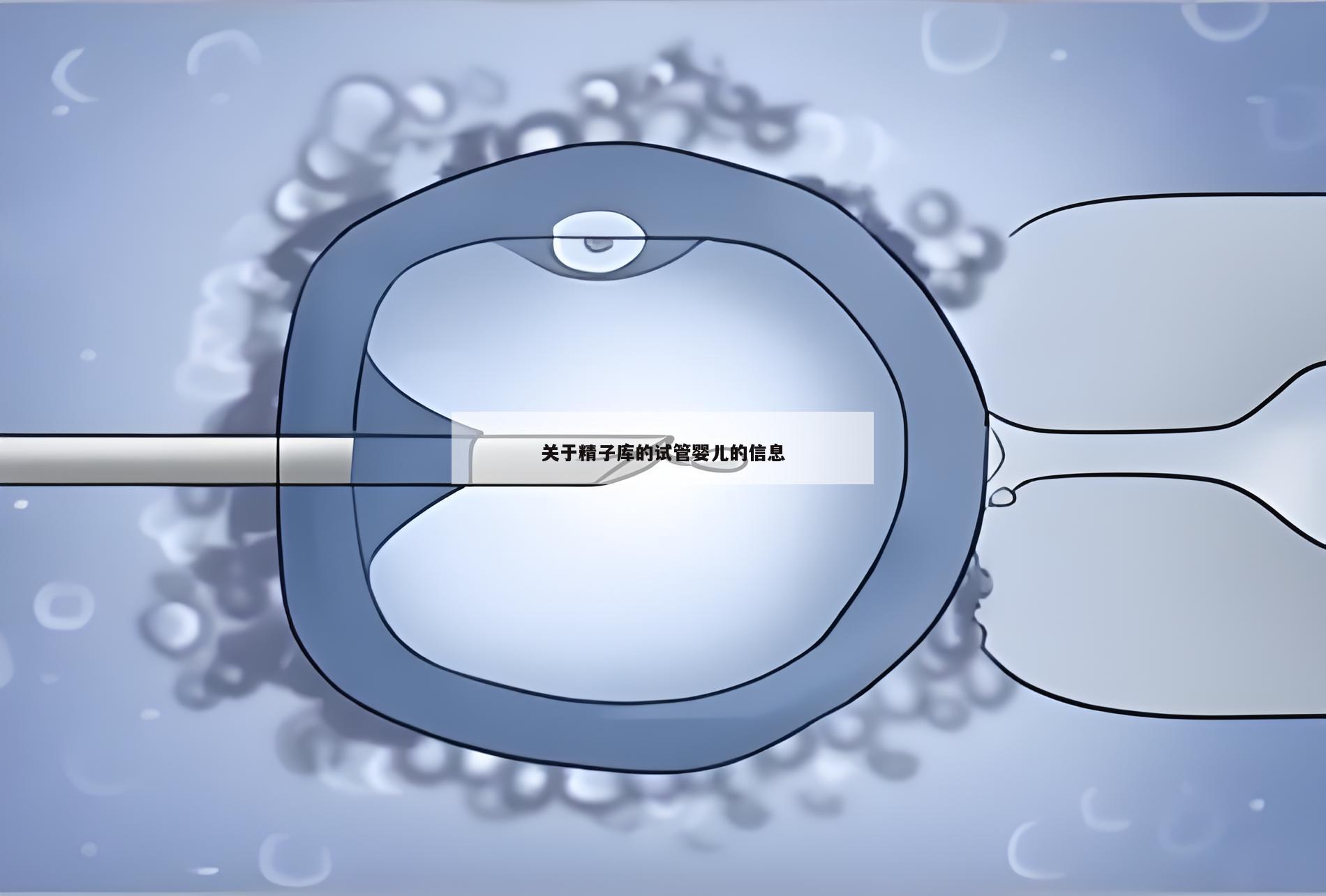 关于精子库的试管婴儿的信息